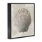 Stupell Industries Clam Shell over Vintage Pattern Framed Giclee By Conrad Knutsen